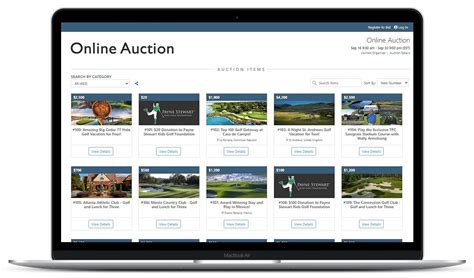 Free Online Auction Software for Nonprofits 2024 .